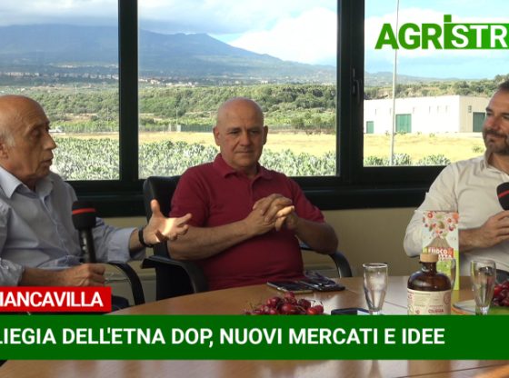 AgriStream, Rosso Ciliegia dell'Etna Dop | VIDEO