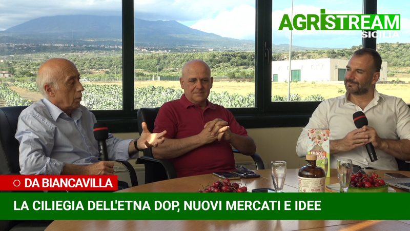 AgriStream, Rosso Ciliegia dell'Etna Dop | VIDEO