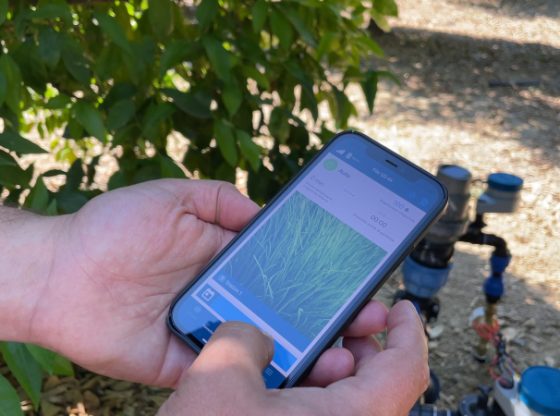 Agrumicultura, con IRRIAP l'irrigazione è smart e deficitaria | VIDEO