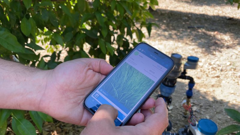 Agrumicultura, con IRRIAP l'irrigazione è smart e deficitaria | VIDEO