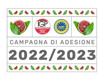 Al via la campagna di adesione 2022/2023 al Consorzio Arancia Rossa di Sicilia IGP
