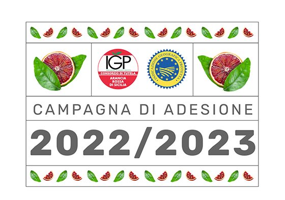 Al via la campagna di adesione 2022/2023 al Consorzio Arancia Rossa di Sicilia IGP