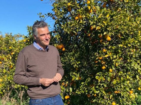 Diana: in aumento iscrizioni al Consorzio Arancia Rossa di Sicilia