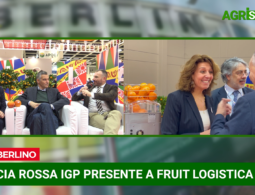 Fruit Logistica 2023, Talk su Consorzio Arancia Rossa di Sicilia IGP | VIDEO