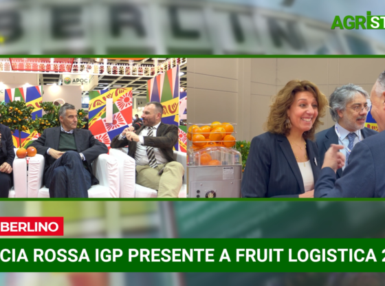 Fruit Logistica 2023, Talk su Consorzio Arancia Rossa di Sicilia IGP | VIDEO