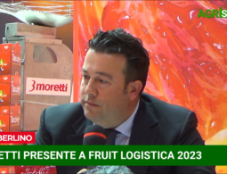 Fruit Logistica 2023, Talk con Luca Bonomo di 3Moretti