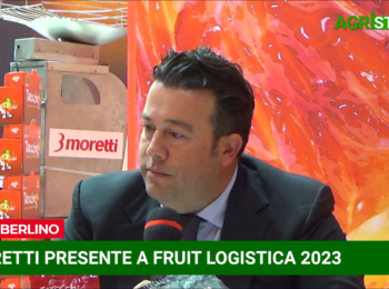 Fruit Logistica 2023, Talk con Luca Bonomo di 3Moretti