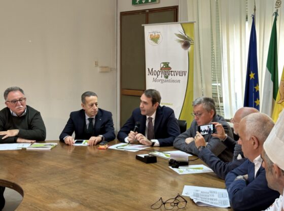 Concorso Morgantìnon 2023, presentazione in conferenza stampa