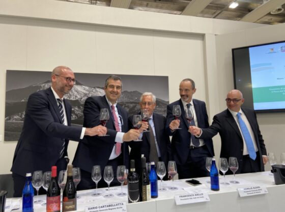 Parco Territoriale dei vini Cerasuolo di Vittoria DOCG e Vittoria DOC, avanza fasi costituzione