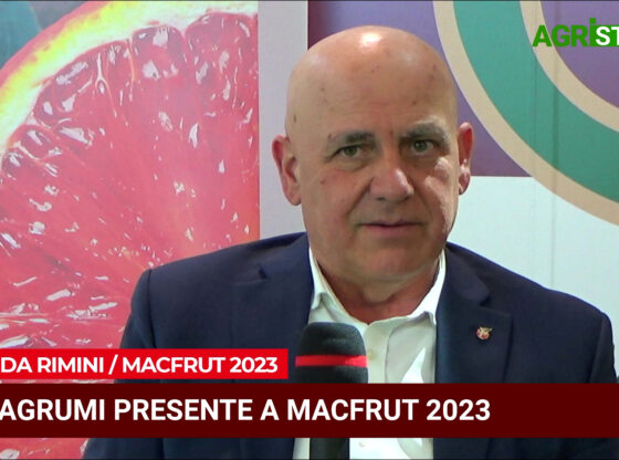Macfrut 2023, talk con Salvatore Rapisarda di Euroagrumi