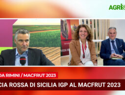 Arancia Rossa di Sicilia Igp al MacFrut di Rimini 2023 | VIDEO