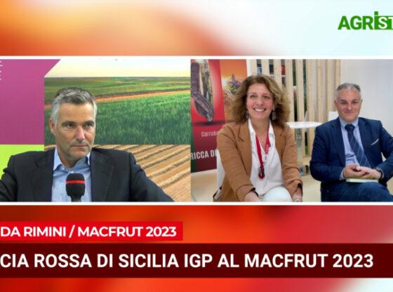 Arancia Rossa di Sicilia Igp al MacFrut di Rimini 2023 | VIDEO