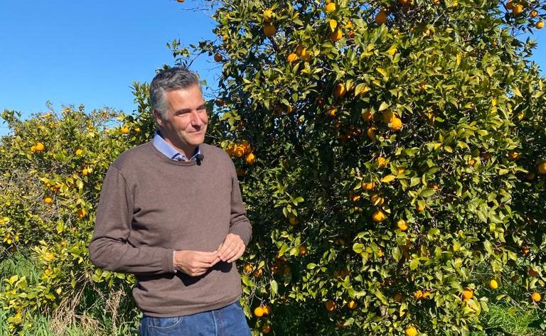Fitopatia “Greening” è allarme globale, appello di Diana