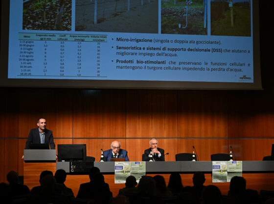 A Macfrut 2024: Biosolutions International Event