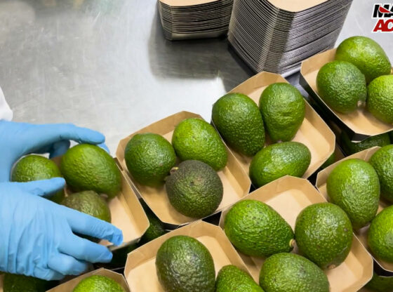 Macfrut Academy, Indagine Ismea: Boom in Italia Avocado e Mango, consumi +179%