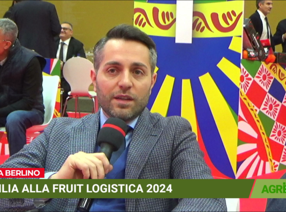 Fruit Logistica 2024, Agristream con Consorzio Euroagrumi