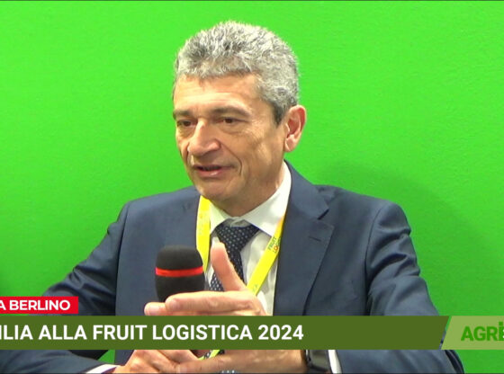 Fruit Logistica 2024, Agristream con Autorità Portuale Sicilia Orientale