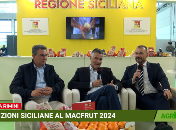 Arancia Rossa di Sicilia IGP a Macfrut 2024