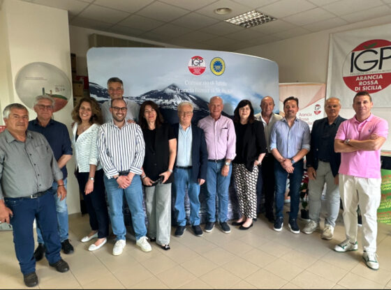 Gerardo Diana confermato presidente del Consorzio Arancia Rossa di Sicilia IGP