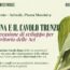 Valorizzazione del Cavolo Trunzo di Aci: domenica 1 dicembre Frumento ospita la presentazione del progetto