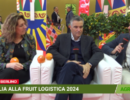 Fruit Logistica 2024, Agristream con Arancia di Siciclia IGP