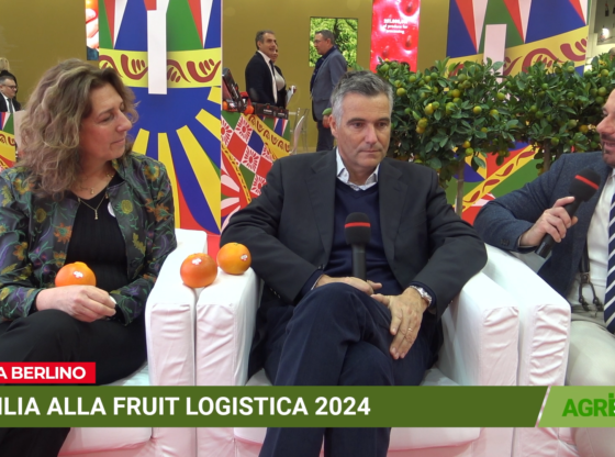 Fruit Logistica 2024, Agristream con Arancia di Siciclia IGP