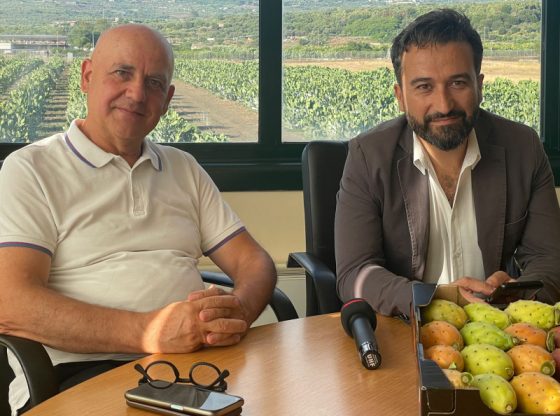 Agristream Sicilia, la sagra del Ficodindia di Belpasso 2022 si svolgerà il 14 15 e 16 ottobre | VIDEO