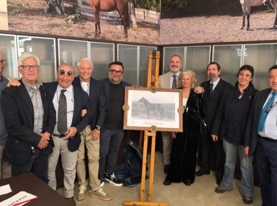 Ambiente, salvaguardia e caratterizzazione equidi siciliani. Risultati progetto