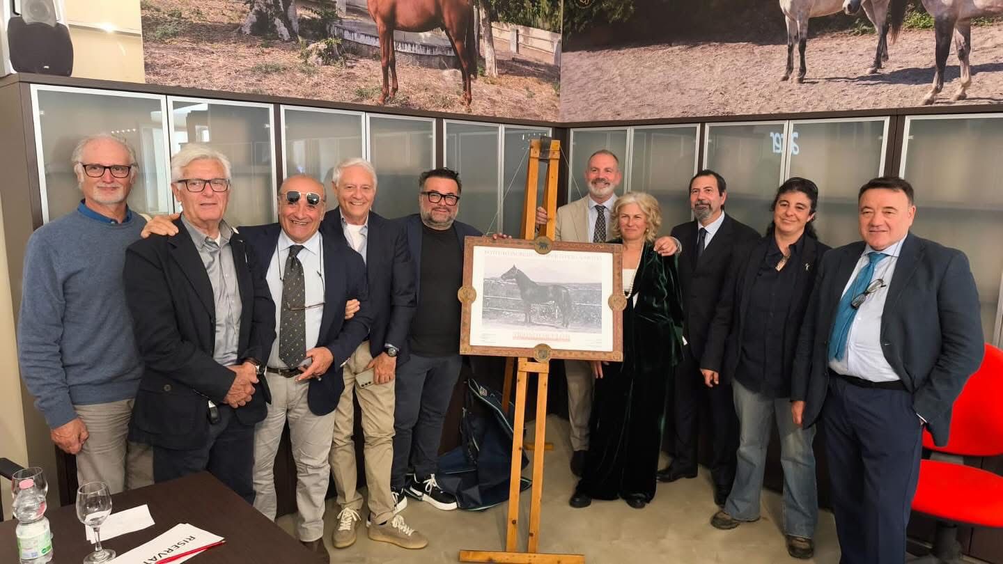 Ambiente, salvaguardia e caratterizzazione equidi siciliani. Risultati progetto